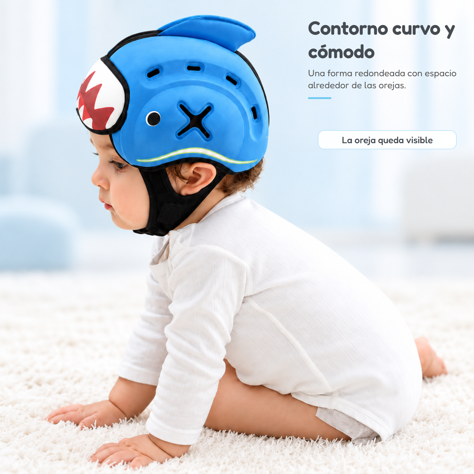 05_contorno